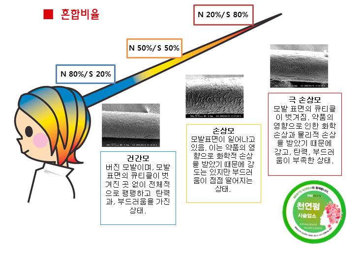 화면 캡처 2025-04-15 151639.png