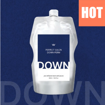 퍼펙트 살롱 다운펌 500ml